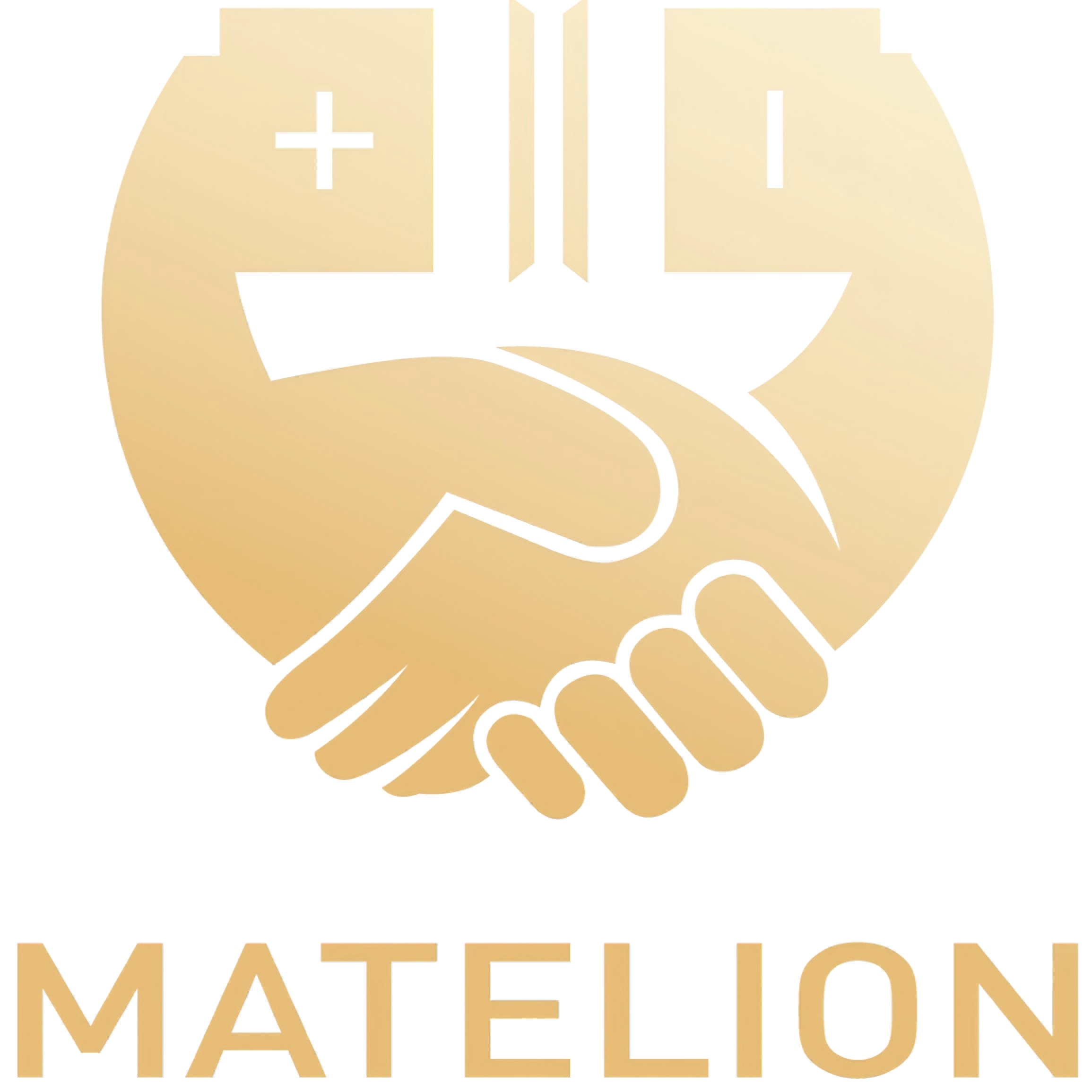 matelion 12.8V314Ah 4019.2Wh 2000W ESS 0.384kWh